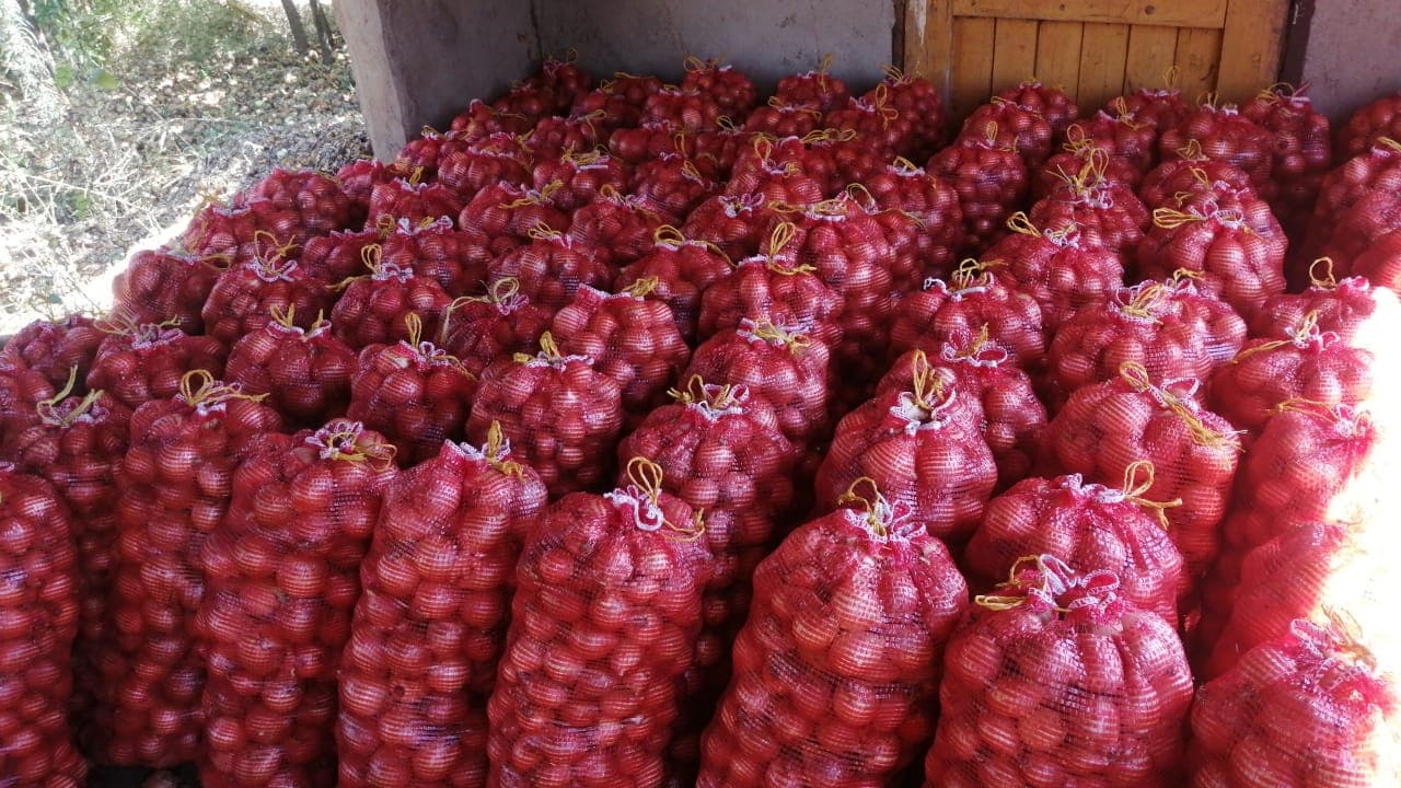 Onions